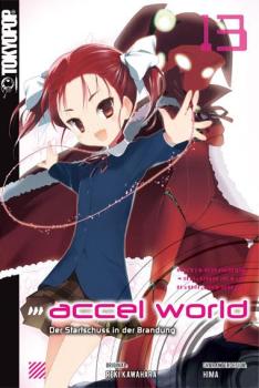 Accel World Novel 13