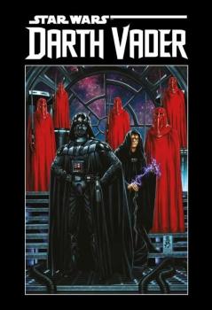 Darth Vader Deluxe 03