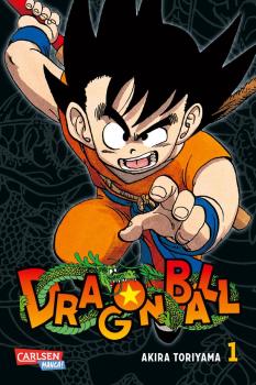 Dragon Ball Massiv 01