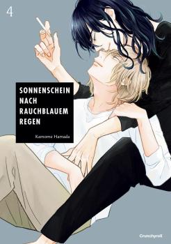 Sonnenschein nach Rauchblauem Regen 04