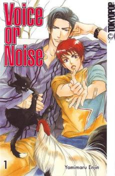 Voice or Noise 01