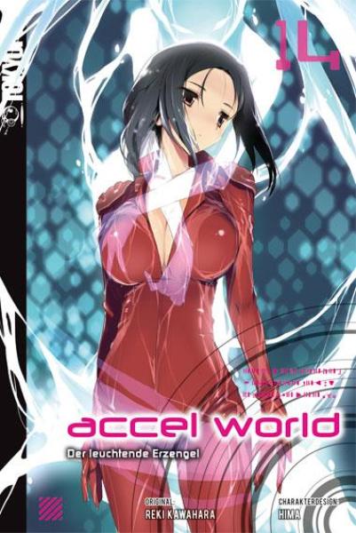 Accel World Novel 14