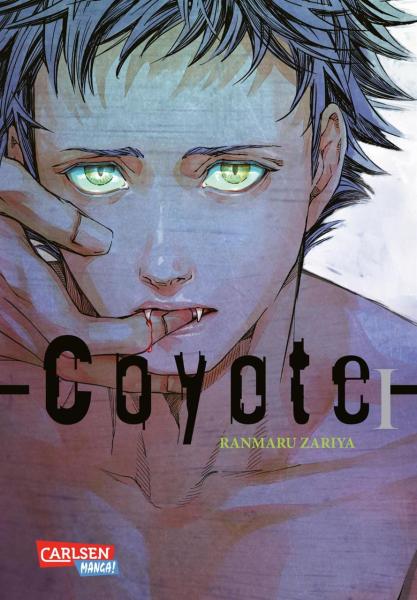 Coyote 01
