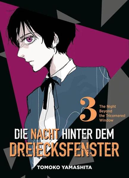 Die Nacht hinter dem Dreiecksfenster 03